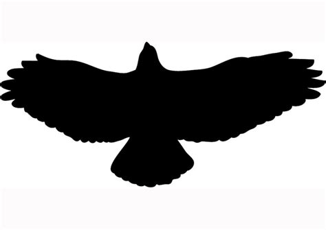 Free Flying Hawk Cliparts, Download Free Flying Hawk Cliparts png ...