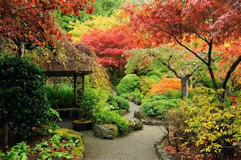 These 15 Signature Oriental Plants Inspire Garden Serenity And ...