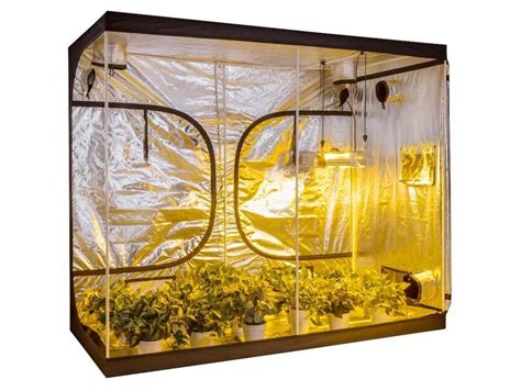 Best Grow Tent Setup Guide | Build the Perfect Indoor Grow Tent