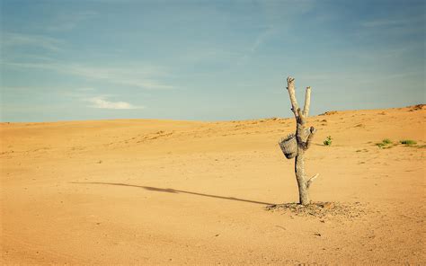 The Sahara Desert Is Growing. Here's What That Means | Live Science