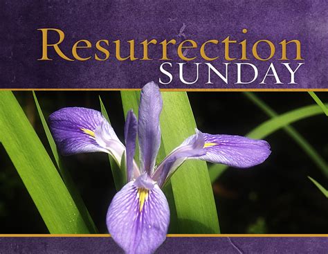 Resurrection Sunday (Easter) | Ministry127