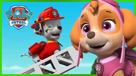 Marshall And Skye Save Adventure Bay And More Paw Patrol Cartoons