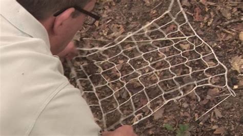 How To Make Fishing Nets (Video) | Fishing net, Survival, Outdoor survival