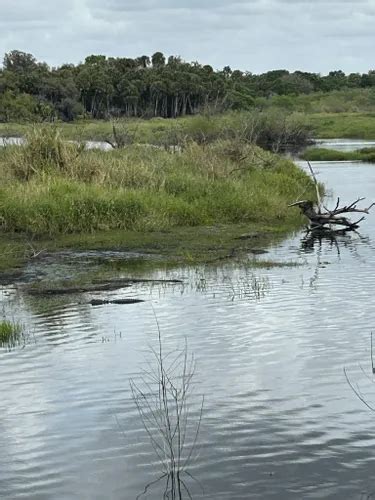 Best Views Trails in Myakka River State Park | AllTrails