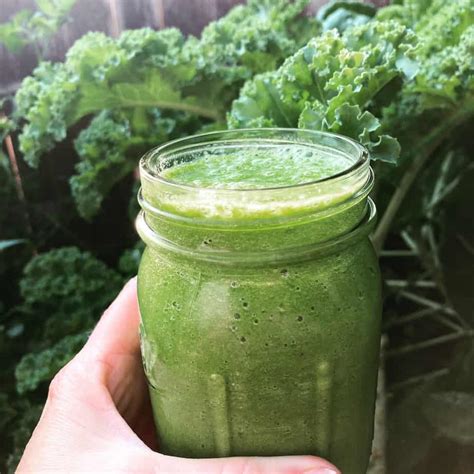 Fresh Kale and Fruit Smoothie - Hungry Dane Kitchen