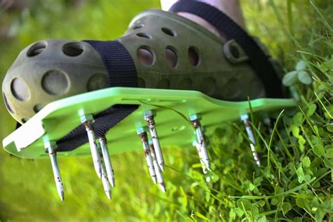 How To Aerate A Lawn With Spike Shoes