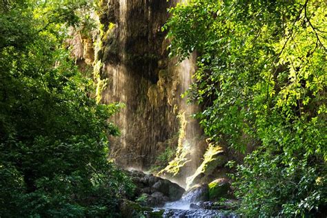 Gorman Falls - Colorado Bend State Park, TX | I have been pa… | Flickr ...