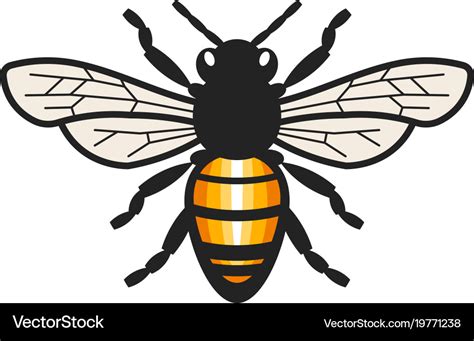 Honey bee Royalty Free Vector Image - VectorStock