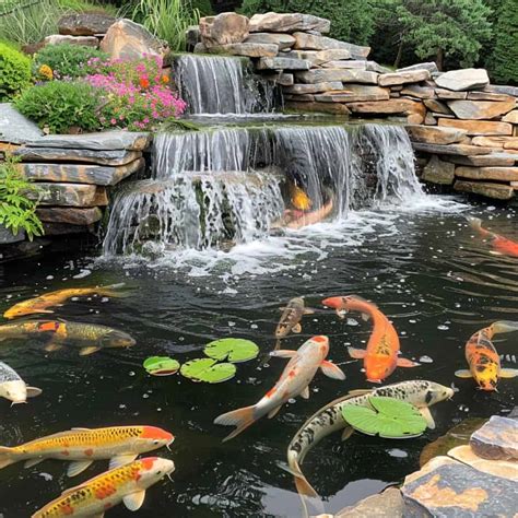 28 Stunning Koi Pond Waterfall Designs - Pond Informer