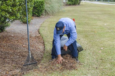 Your landscape is ready for fall clean up services | U.S. Lawns