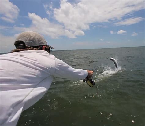 Video Pro Tips: How to Fight Big Fish in Salt Water - Orvis News