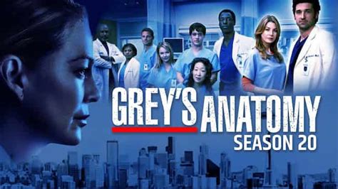 Grey's Anatomy Season 20 Release Date, Plot Synopsis, Cast Members ...