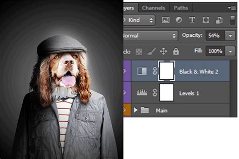 How to Create a Human Portrait of a Dog in Photoshop - Photoshop Tutorials