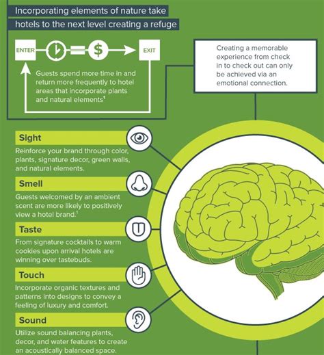 The impact of biophilic design | US Ambius