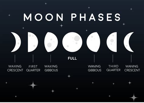 HOW THE MOON AFFECTS US | Moon phases art, Moon phases drawing, Moon phases