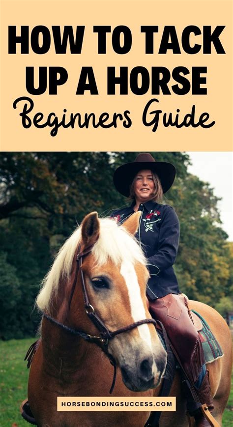 How to Tack Up a Horse (for Beginners) – Horse Bonding Success