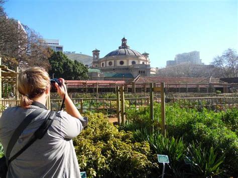 Cape Town: Spectacular Botanical Gardens with Guided Tour | GetYourGuide