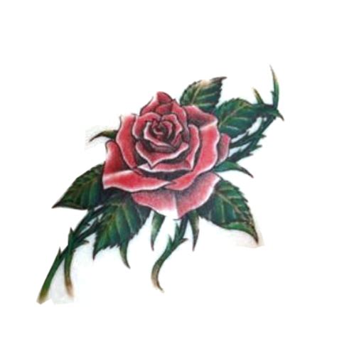 Rose With Thorns Drawing at PaintingValley.com | Explore collection of ...