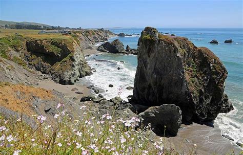 12 Best Bodega Bay Beaches, California - Sunlight Living