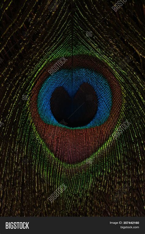 Eye Peacock Feather Image & Photo (Free Trial) | Bigstock