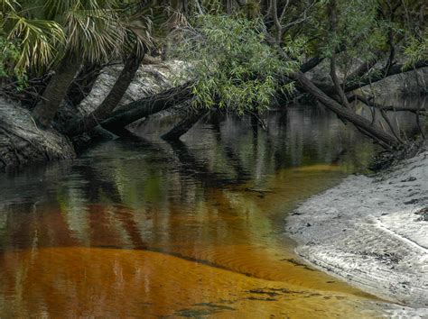 Myakka River State Park | Romancing Reality