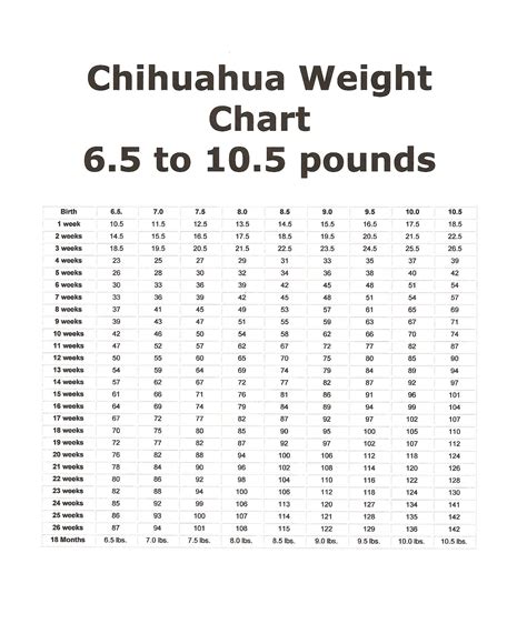 Chihuahua Puppy Weight Chart Chihuahua Puppy Weight Chart