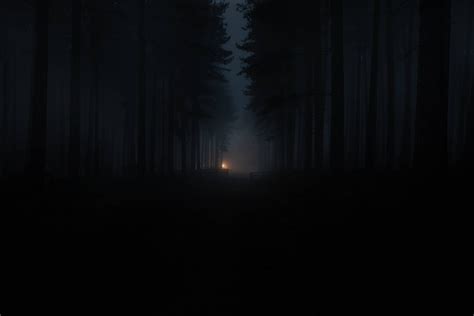 Top 999+ Dark Forest Wallpaper Full HD, 4K Free to Use