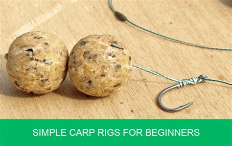 Carp Rigs for Beginners - A Guide to Carp Fishing | Carp 'n' Bait.co.uk