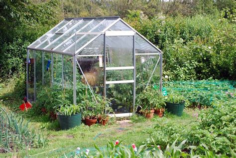 Glass or Polycarbonate: What is The Best Type of Greenhouse Glazing?