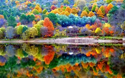 Autumn Scenery Wallpaper,HD Nature Wallpapers,4k Wallpapers,Images ...