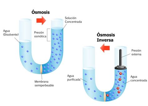 ¿qué Es La ósmosis Inversa Carbotecnia