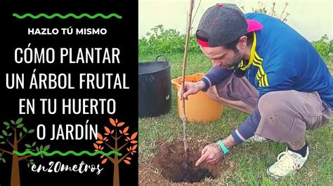 Aprenda a plantar árboles frutales en su casa com 10 simples pasos