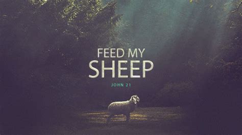 John 21 - Feed My Sheep - Calvary Chapel of Westmoreland