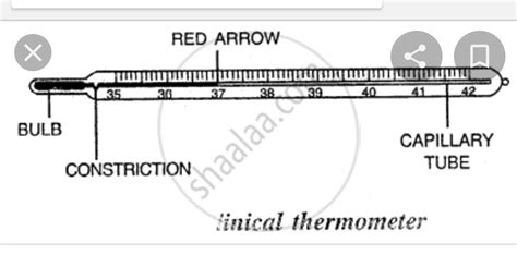 Labeled Diagram Of A Thermometer