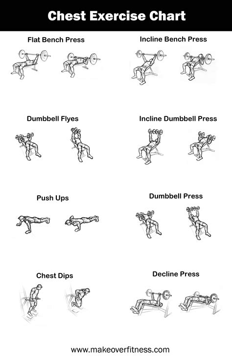 Printable Chest Exercise Chart