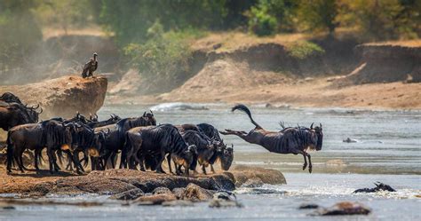 Serengeti National Park - Nature Responsible Safaris