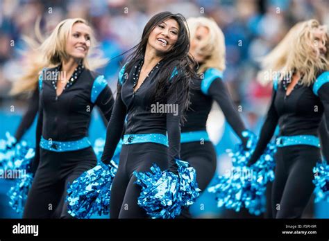 Carolina Panthers Top Cats cheerleaders during the NFL football game ...