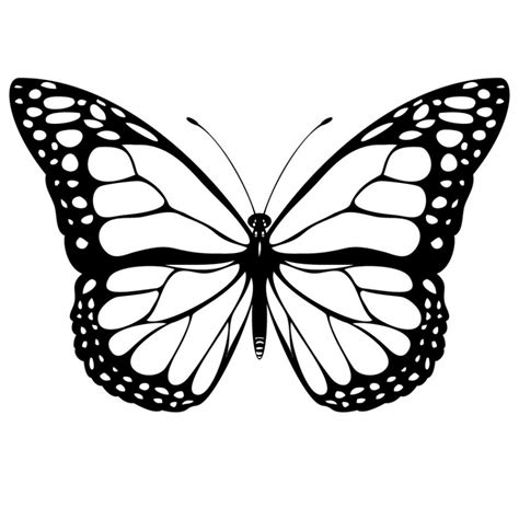 Butterfly Design Drawing At Getdrawings Free Download