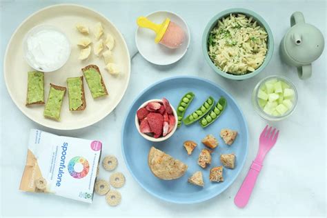 Baby Feeding Schedules (and Sample Meal Plans)