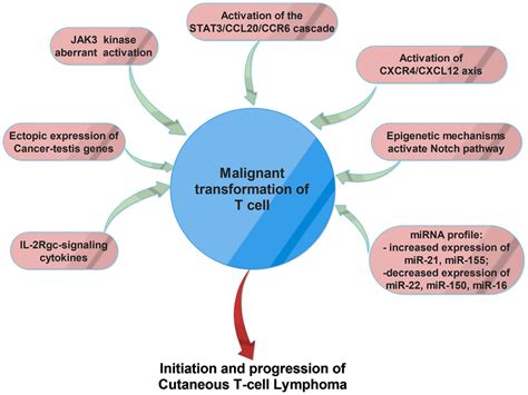 Early Cutaneous T Cell Lymphoma Stages