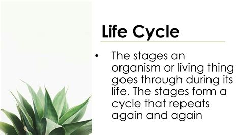 SOLUTION: Module 1 reproduction and life cycle of plant - Studypool