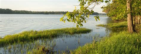 Explore Louisiana State Parks | The Heart of Louisiana