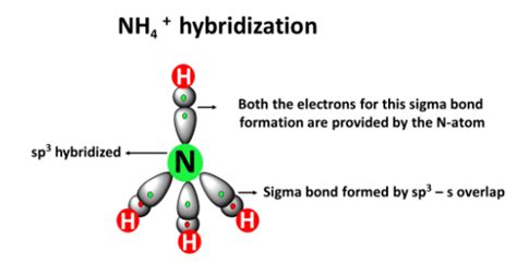 NH4+ lewis structure, molecular geometry, bond angle, hybridization