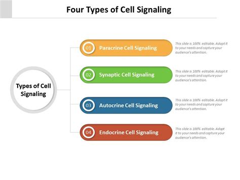 Four Types Of Cell Signaling | PowerPoint Presentation Pictures | PPT ...