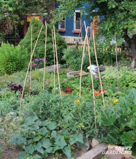 Edible Garden Design Ideas to Boost Production and Beautify your Space