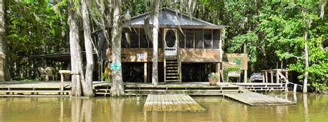 Wildlife in Louisiana: Exploring Honey Island on a Swamp Tour • Globonaut