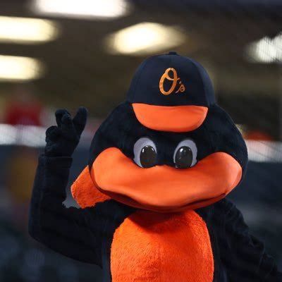 Doreen Carr Rumor: Orioles Bird Name Mascot