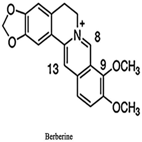 Berberine Hydrochloride - Suppliers & Manufacturers in India