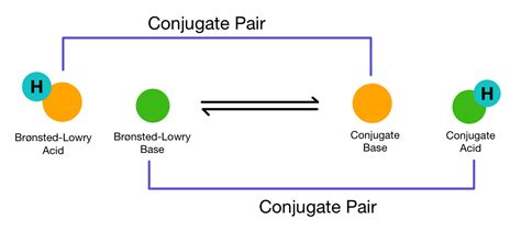 Conjugate Acid-Base Pairs — Overview & Examples - Expii