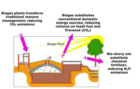 Biogas Digester Plans